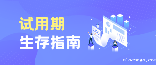 试用期指南