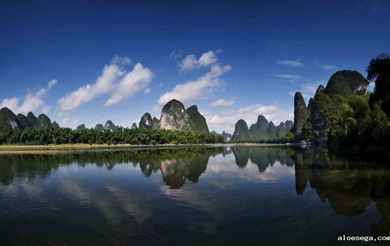 广西壮族自治区政府引才