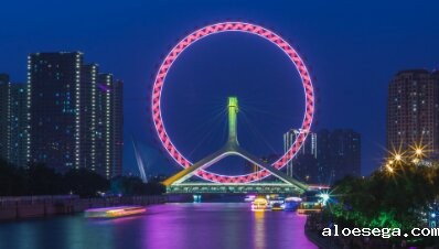 天津市政府引才