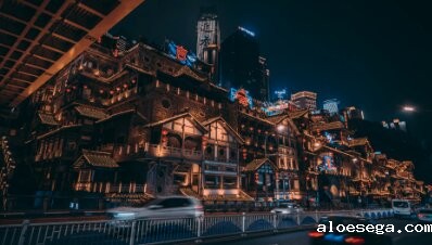 重庆市政府引才