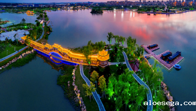 吉林省政府引才