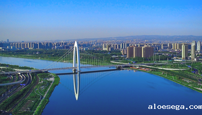 山西省政府引才