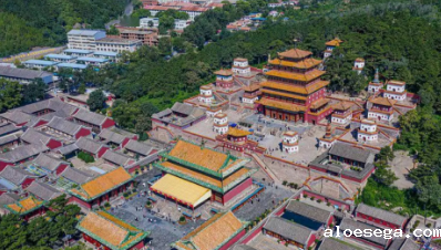 河北省政府引才