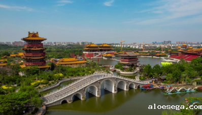 河南省政府引才