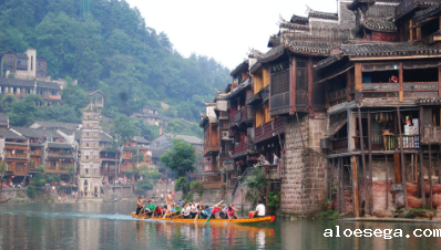 湖南省政府引才