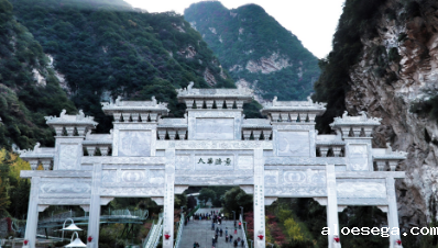 陕西省政府引才