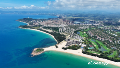 海南省政府引才