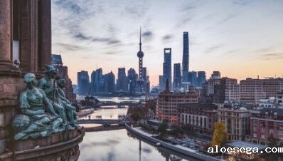 上海市政府引才