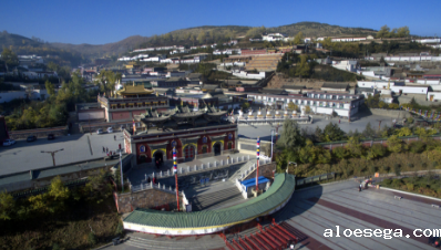 青海省政府引才