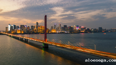 浙江省政府引才