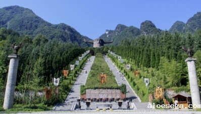 湖北省政府引才