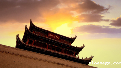 甘肃省政府引才