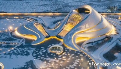 黑龙江省政府引才