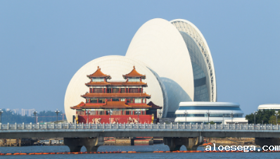 广东省政府引才