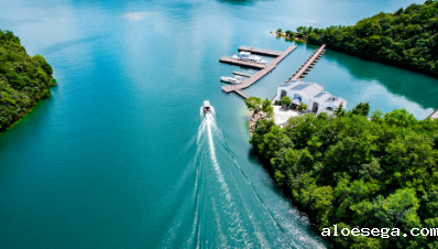 江西省政府引才