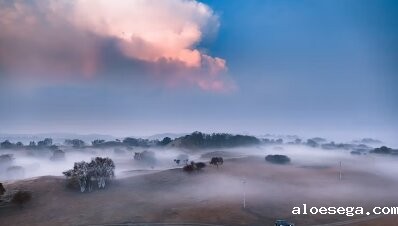 内蒙古自治区政府引才